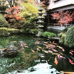 Yokoyama Takuyaのツイート画像
