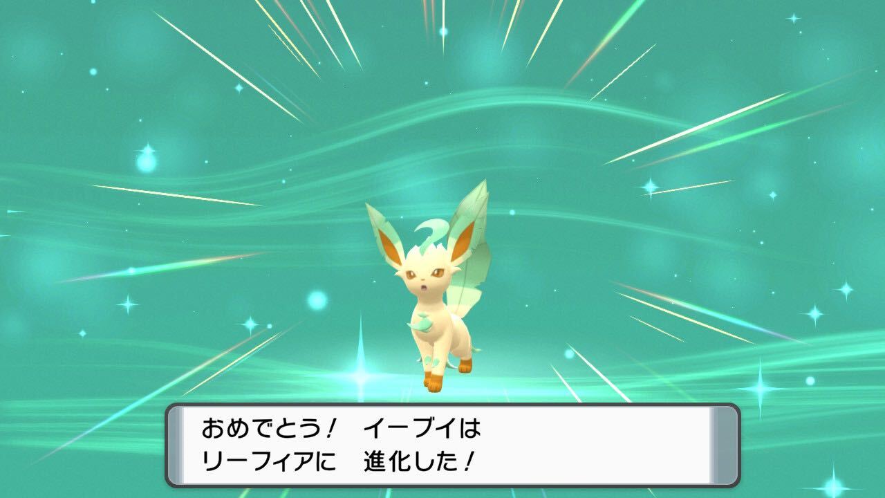 Twitter 上的 公式 プロジェクトイーブイ 続 ポケットモンスター ブリリアントダイヤモンド シャイニングパール が発売になってからもう１週間 リーフィアと出会いましたー リーフィア Leafeon ポケモンbdsp T Co Hahypbdnlo Twitter