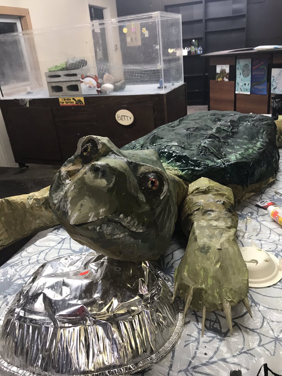 Getting Henry, our paper mache snapper mascot,  ready for the Santa Clause parade in Haliburton tomorrow evening! 
#santaclauseparade #turtleguardians #happyholidays #turtlesofinstagram #iloveturtles