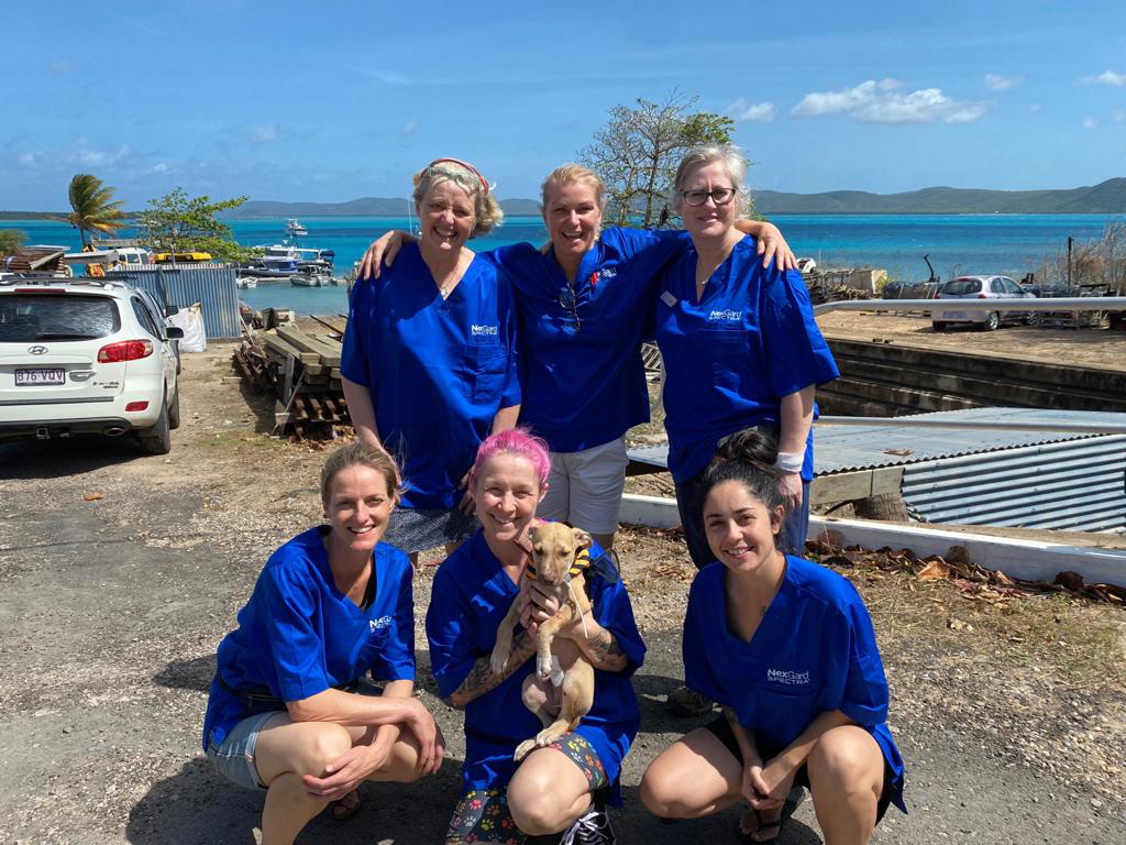 OzDogLover's tweet photo. #VetsBeyondBorders are collaborating with the Animal Welfare League Queensland and local island welfare group to deliver vitally important #veterinarycare - including #desexing surgeries - to the animals on #ThursdayIsland.🐶👩⚕️🏝️
Learn how you can help ⏬
https://t.co/RWEVknPbUf https://t.co/gtFbQAZ24b