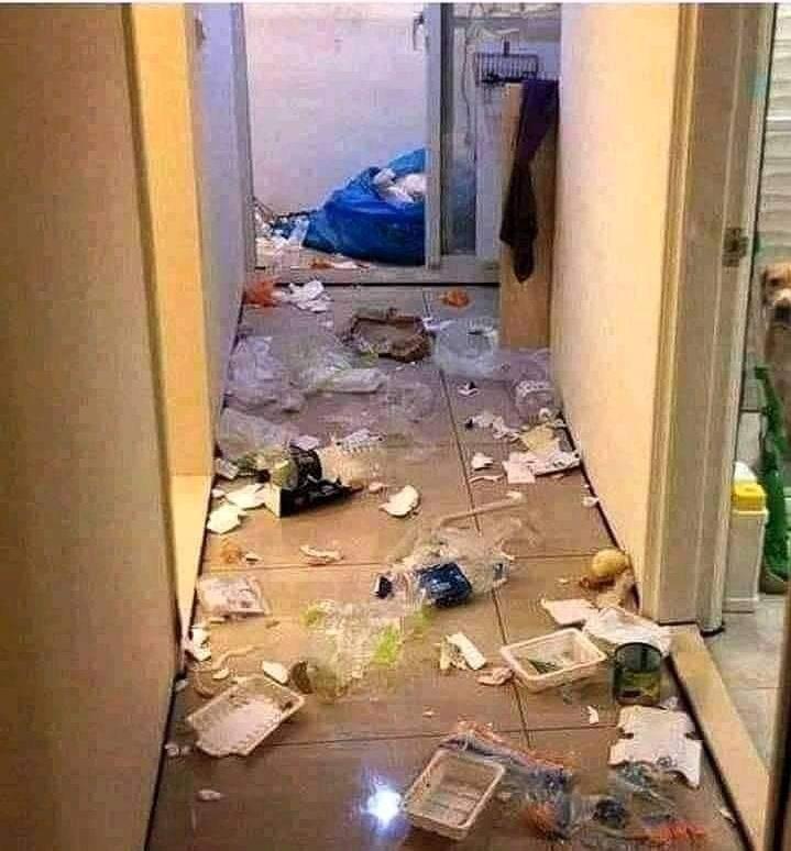 Adelso Carvajal tweet media