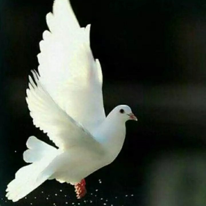 Sshabbeer2S's tweet photo. #NewProfilePic https://t.co/AMUL9FMdQv