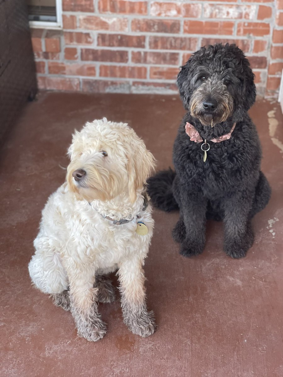 thomas by Sheets and Giggles tweet media