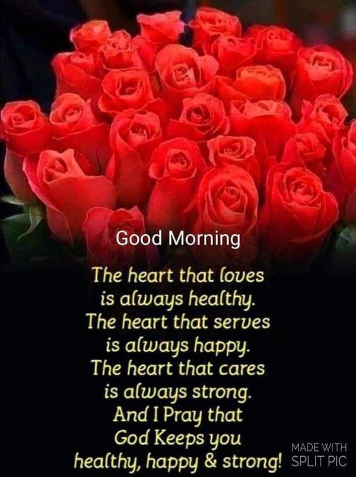TThoria's tweet photo. #GoodmorningEveryone #loveyourself #dogooddeed. #govesmiletoothers #forgiveandforgetforyourhearth #behappyandheathy #StayBlessed🧿🙌♥️😍 https://t.co/W3IxRYpTWi
