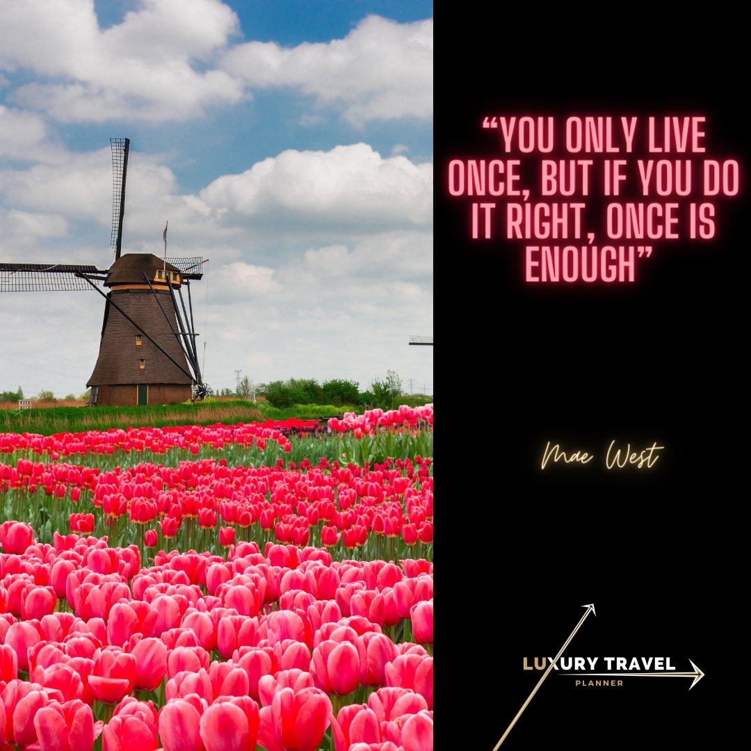 Luxury Travel Planner tweet media
