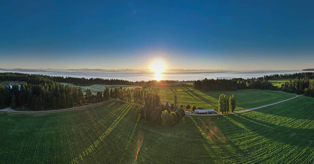 Happy Thanksgiving  from our family &amp; farm at Shelter Point Distillery to your family today!!  <a href="/shelterpoint/">Shelter Point Distillery</a>
.
.
.
.
.
#thanksgiving #farmdistilled #singlemalt #singlemaltwhiskey #gratitude