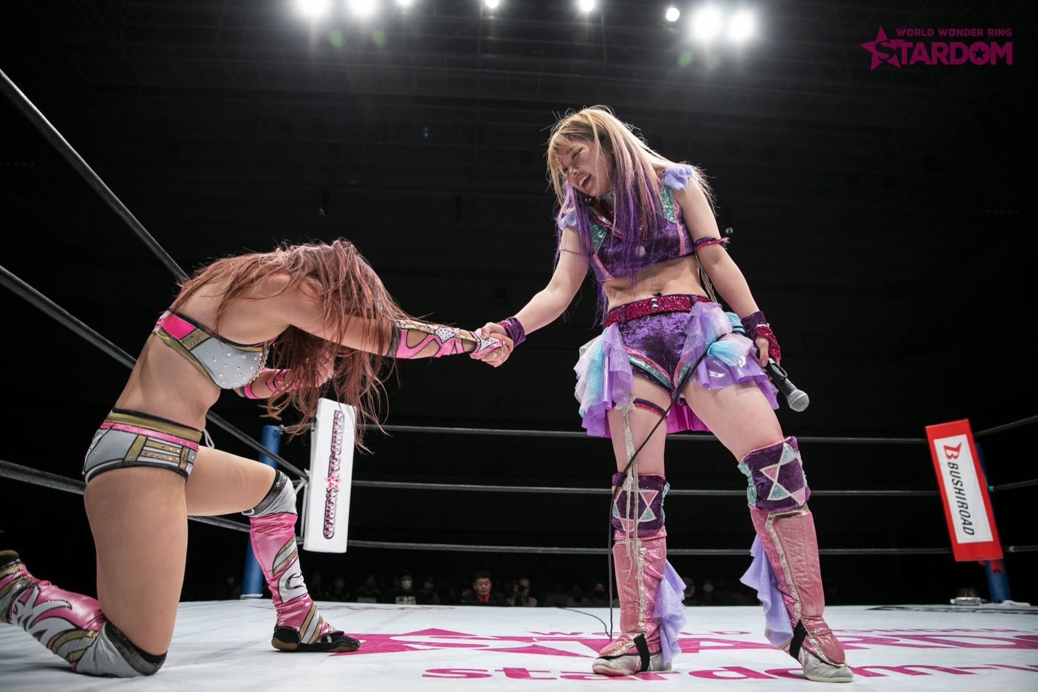 STARDOM スターダム プロレス 写真集 中野たむ 白川未奈 ウナギサヤカ Amazon.co.jp: Stardom 写真集 DELICIOUS 中野たむ ウナギさやか