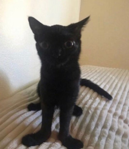 i just remembered juneday