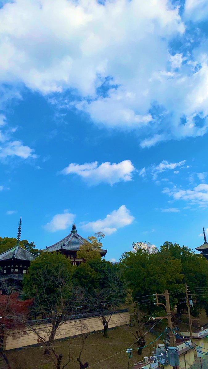 冬の青空。
朝は冷えますが、朝日浴びて今日も一日元気に頑張れます。