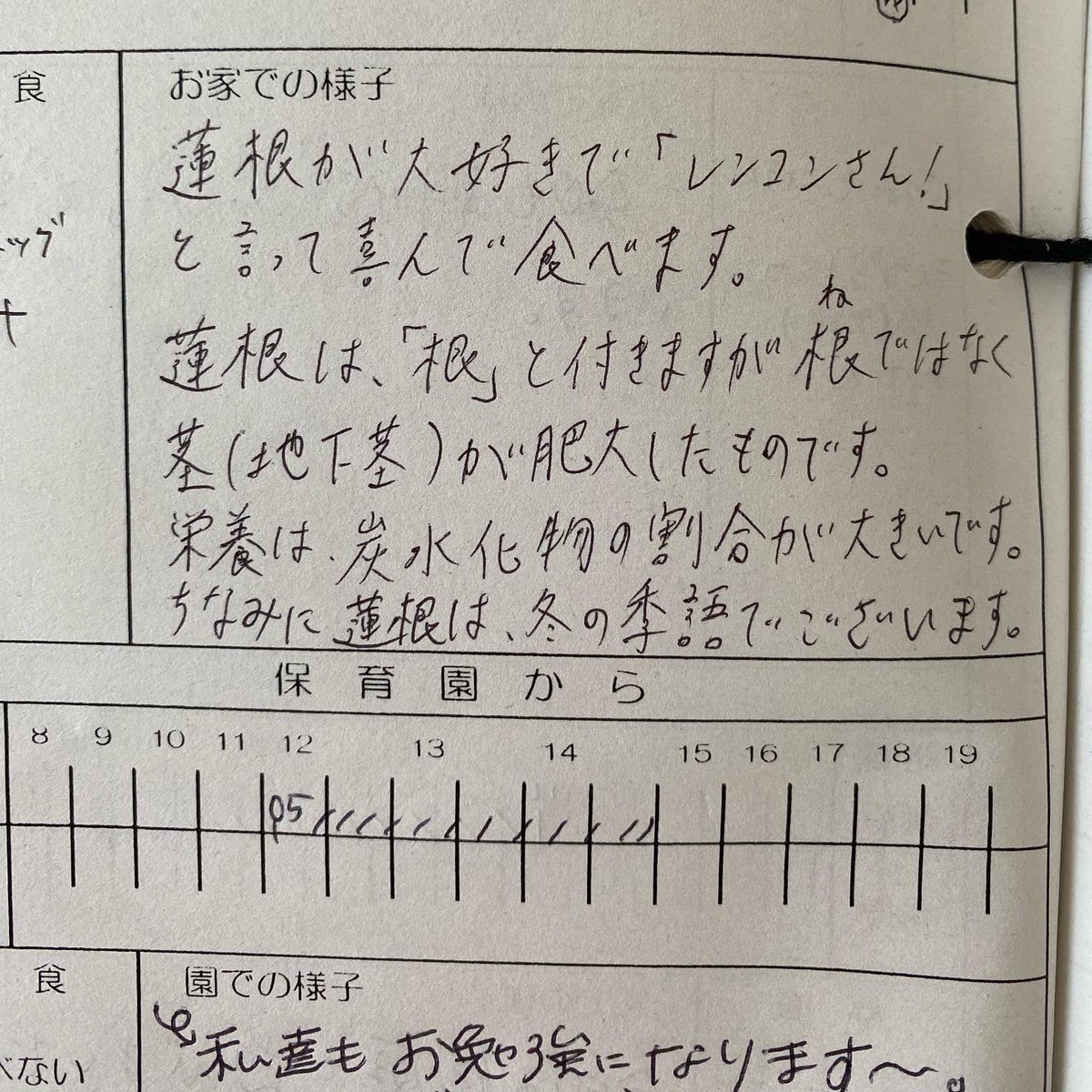 パパが書いてくれた #保育園のお便り帳
んん？？蓮根の小ネタになってる🤣
イヤイヤ！子供の「家での様子」を書く欄だよ〜📒

先生も「私達も勉強になります〜！」と温かい言葉を頂戴いたしました😆
#子育て #子育て奮闘中
#子育てママ #子育てパパ
#保育園準備 #保育園の先生
#兄妹ママ #兄妹育児