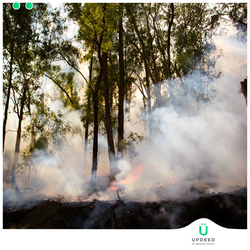 UpdeedApp's tweet photo. We all know that global warming has become a grave problem that needs undivided attention.
.
Let's take a pledge with #UPDEED to act - save the atmosphere from the rising temperature and build a green environment for our future.
.
#globalwarming #climatechange #savetheplanet https://t.co/5ZCBaT2NKI