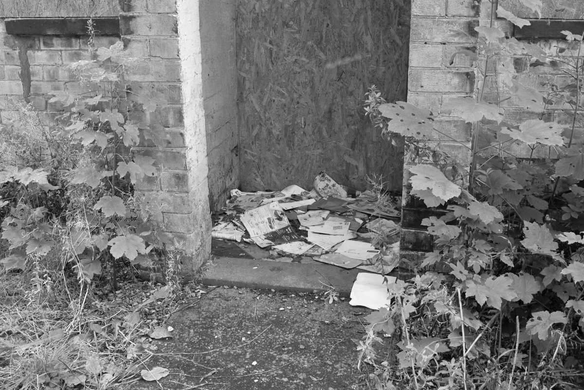 LongbarrowPress's tweet photo. #GreyFriday https://t.co/5ETZETsyPP