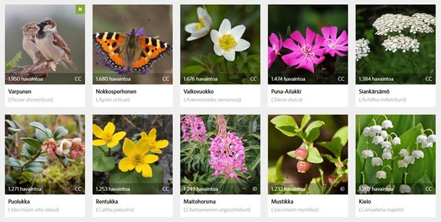 iNaturalist Suomi tweet media
