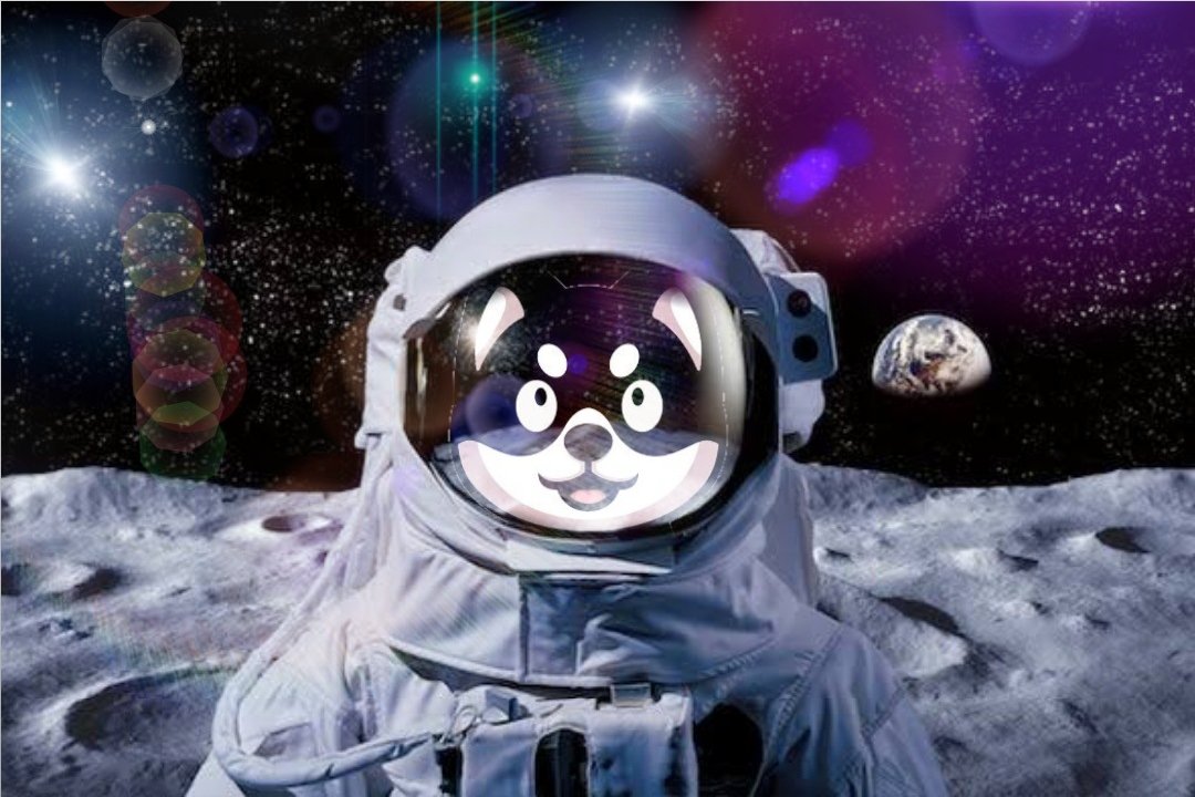 IdunggNjel's tweet photo. @Black_Floki my entry
#BLACKFLOKI
#crypto
#BSC 
#Blackfloki
#DeFi
 @oja_n3 @android1109817 @cryptomyera https://t.co/R4JXCU311r
