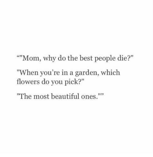iamfiz_'s tweet photo. I miss you a lil more as each day passes 😞 https://t.co/8KiD9vbkRf