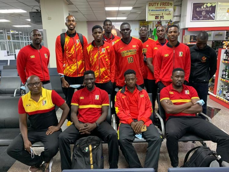 My Gorilla Family tweet media