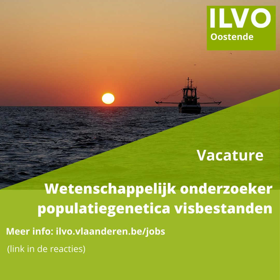 ILVOvlaanderen's tweet photo. 🐠Wil jij bijdragen aan een #duurzaam beheer van #visbestanden?
🌊 Ben je gepassioneerd door #moleculaire analyses? Gefascineerd door de vele toepassingen om #mariene populaties beter te begrijpen?

Wil jij graag je steentje bijdragen? Surf naar onze website &amp; kom #werkenvoorilvo https://t.co/0o9XOo6q6T