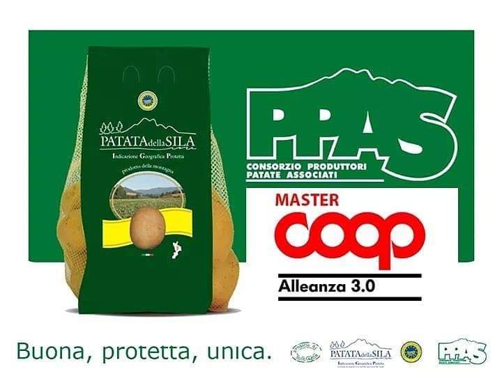 PPAS19111189's tweet photo. La Patata della Sila IGP la trovi nei punti vendita @coopalleanza 
Ti aspettiamo nei nostri #instore dal 26 al 27 Novembre ✌

#PPAS #patatadellasilaigp #buona #protetta #unica #Sila #altopiano #calabria #italy https://t.co/3HyPQcAnkF