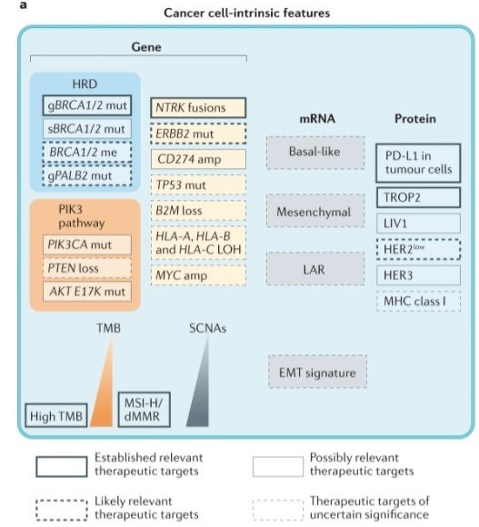 Giampaolo Bianchini tweet media
