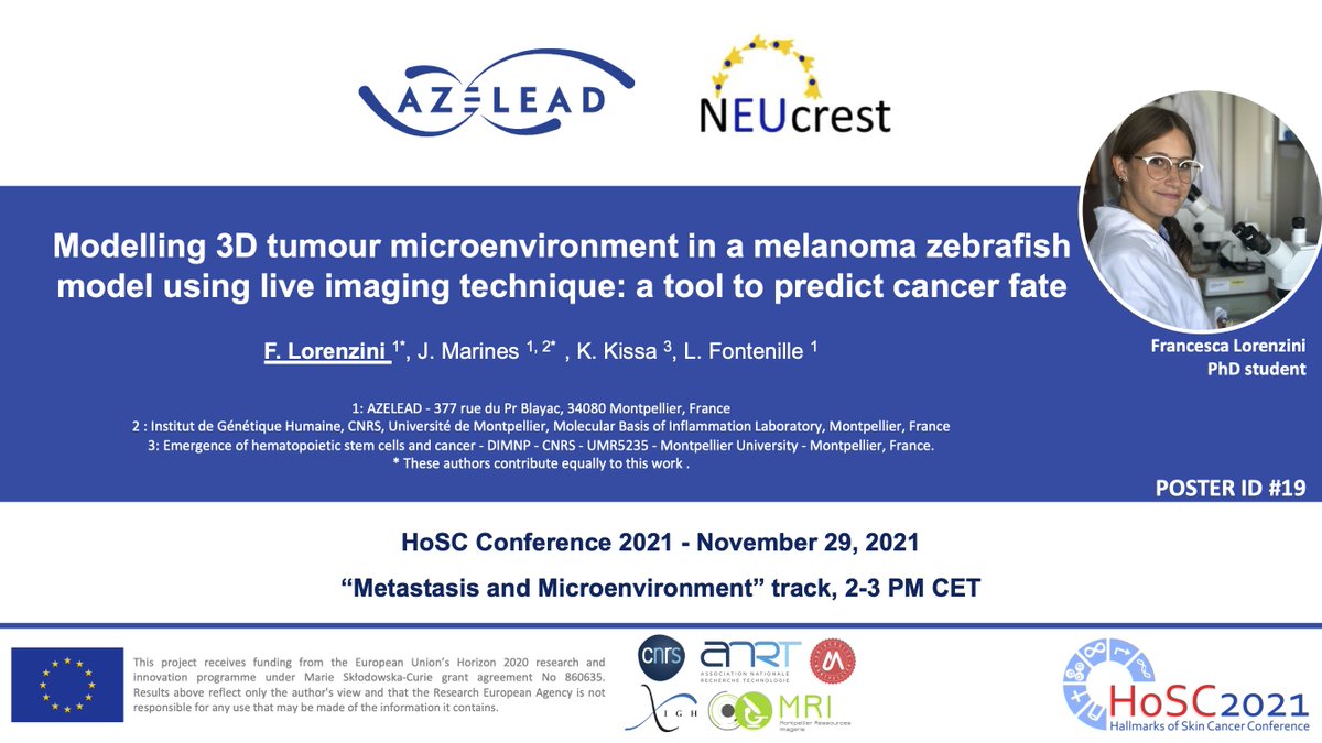 Azelead_Biotech's tweet photo. 📣 Meet our #PhD student @FranciLorenzini 👩🏼‍🔬 at the #HoSC Conference 2021 @DKFZ.  She will present our last tool to predict #melanoma fate in vivo using #zebrafish during the Poster Session I of the “Metastasis and Microenvironment” track: 29th Nov. 2 - 3 PM CET. Poster ID: #19💥 https://t.co/KdQo4XrTGg