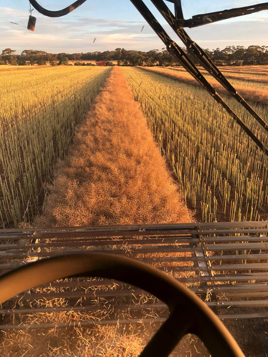 Barry Haskins tweet media