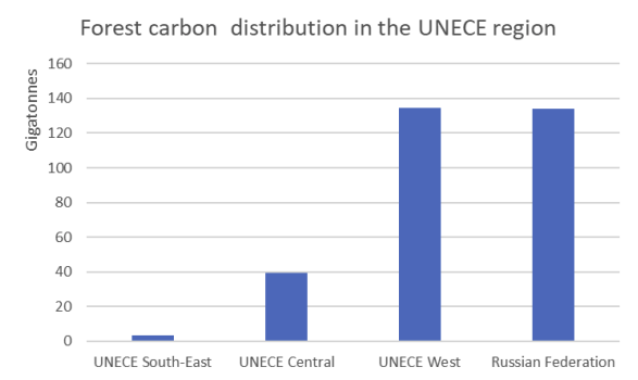 UNECE's tweet photo. For #EuropeanForestweek, learn about forests' key role for #climateaction
Forest in the @UNECE region account for 42% of forests worldwide. They store 311 gigatonnes of #carbon, which account for 47% of the global forest carbon stock
Explore new Outlook👉https://t.co/KaK8EZNoLp https://t.co/HlhGlWZrOj