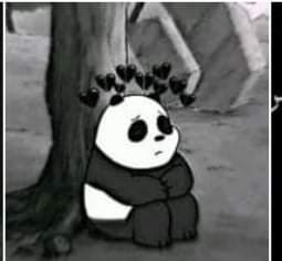 aarraaffadd's tweet photo. احب هدوئي صمتي الدائم وقلّة حضوري بالأماكن احب اني أقدّس مساحتي الخاصـہ واكون موجودة بمكاني الذي يشبهني دائمًا🤍 https://t.co/8G1KJBNkg5