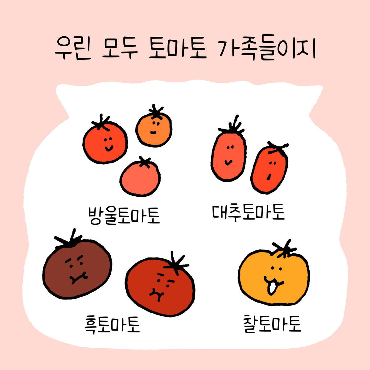 sistersgarden's tweet photo. #알록달록제철텃밭 1화, 토마토는 사시사철 생일이 좋은데🍅 (1/5) https://t.co/KEL4jRaN52
