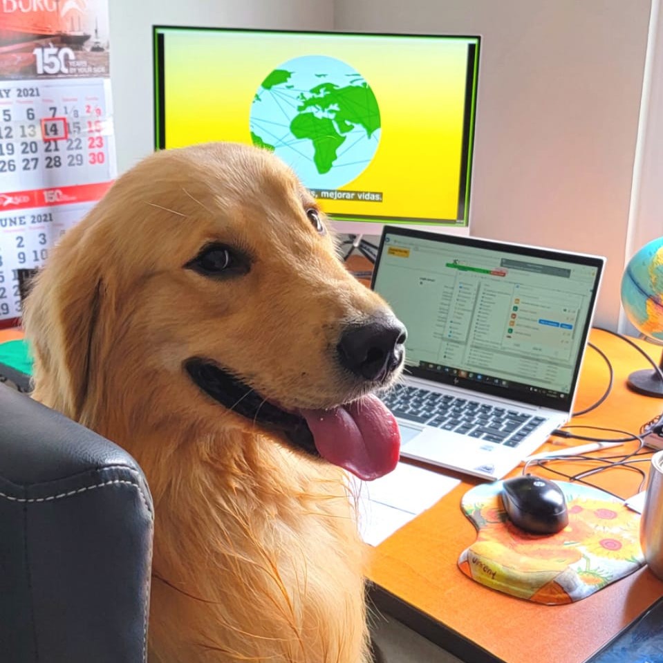 dhl_forwarding's tweet photo. Happy #Friday 

Even if you had a “ruff” week, our pets make everything paw-sible. #DHLGlobalForwarding is everywhere and even our pets can’t hide from some Yellow and Red https://t.co/8mVevGRbhR