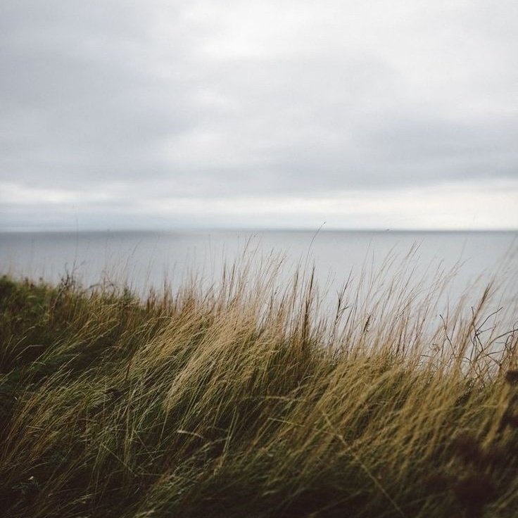 𝗺𝗮𝗿𝗶𝗼𝗻 (@goldicarus) on Twitter photo 