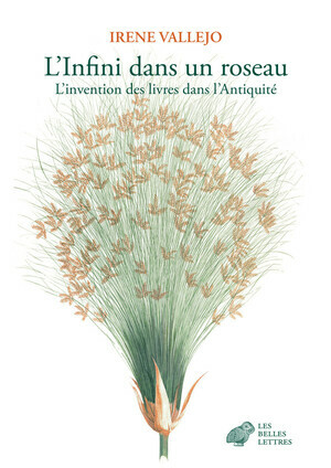 MOMBibliotheque's tweet photo. #vendredilecture #docpro Cette semaine, vos bibliothécaires préférés lisent "L'infini dans un roseau : l'invention des livres dans l'Antiquité" par Irène Vallejo @BellesLettresEd https://t.co/xpH144koFW