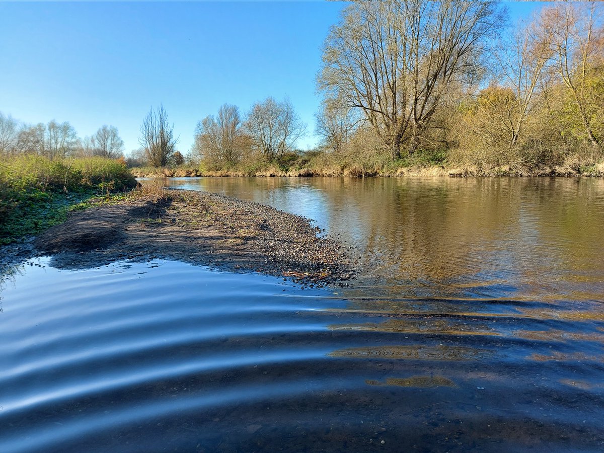 NickMott7's tweet photo. Great day yesterday pulling together initial river &amp; floodplain restoration proposals at a @TheTrentValley site near Walton-on-Trent.

@DerbysWildlife @StaffsWildlife @EnvAgencyMids @EAGeomorphology @The_RRC @VictoriaBunter https://t.co/HpwaO5t4IJ