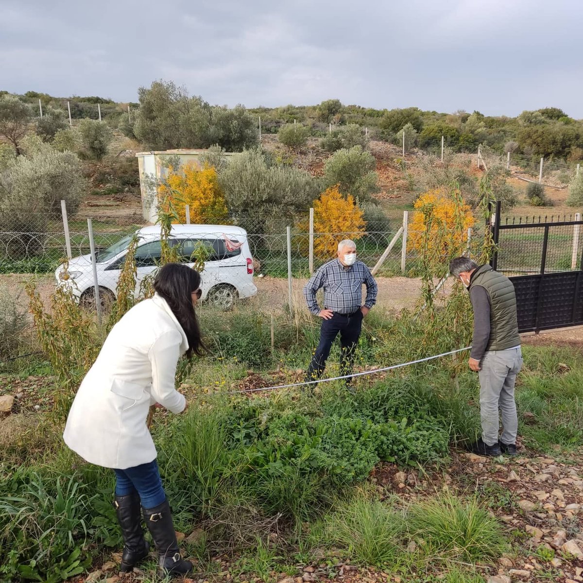 Germiyan Mahallesinde Sertifikalı  Fidan Kullanım Desteği kapsamında arazi kontrolleri🌳 gerçekleştirilmiştir.
#tarımda35inİzi #sertifikalıfidan #kullanım #desteği #arazikontrol #germiyan #çesme 
@izmirtarim