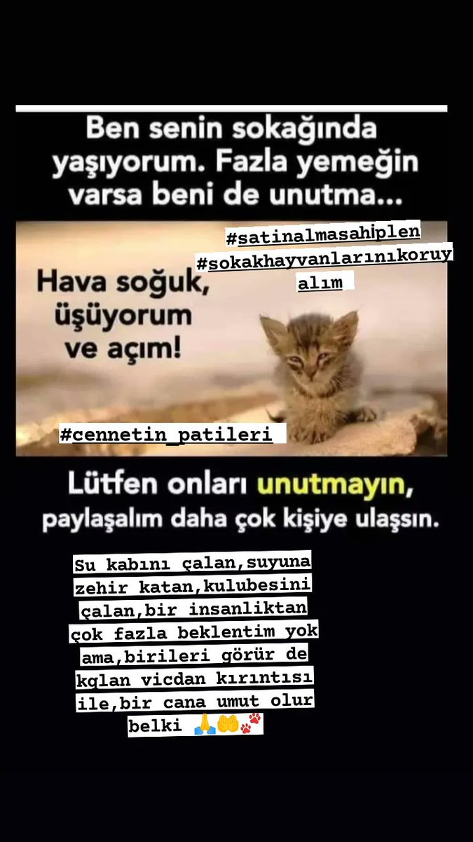 Yaşama umut ol ‼️#satinalmasahi̇plen #sokakhayvanlarınıkoruyalım #cennetin_patileri #ki̇li̇ni̇kdesteği̇ #keşfet #kopek #kedi #instagramdog #mamadestegi