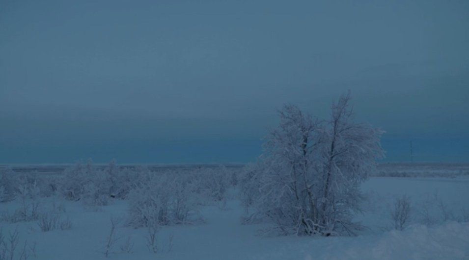 AmbFinlandePAR's tweet image. Le soleil se lève au-dessus de l'horizon et se couche à nouveau dans l'extrême nord de la #Finlande pour la dernière fois cette année, marquant le début de la nuit polaire (kaamos), qui durera jusqu'au janvier. #laponie
Voir la vidéo @Boursorama via @AFP
➡️bit.ly/3nQDnAm