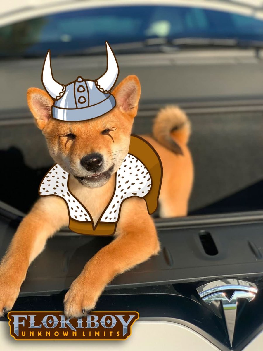 Floki Boy tweet media