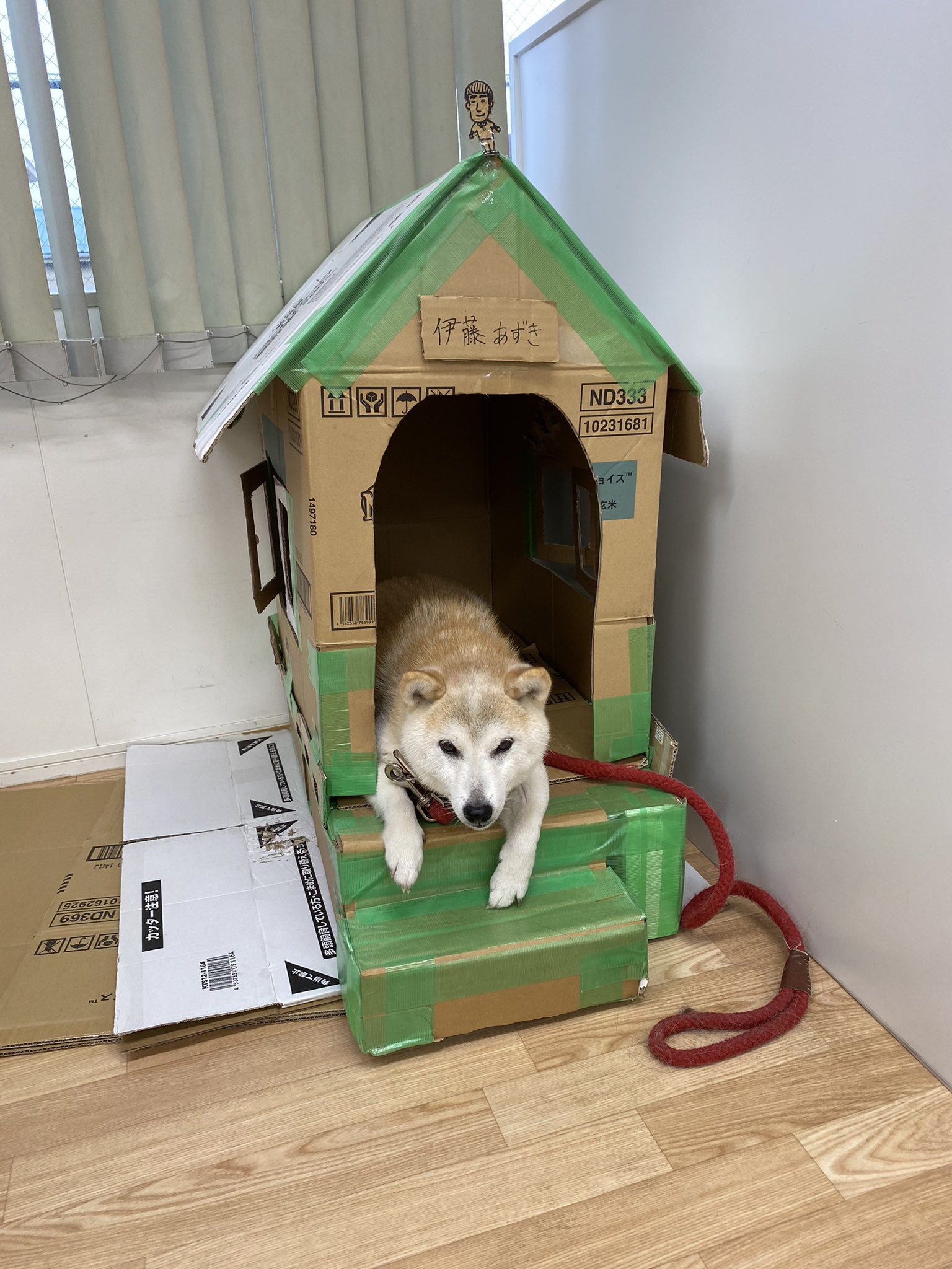 犬のしつけとトリミングmove On Moveontrainer Twitter