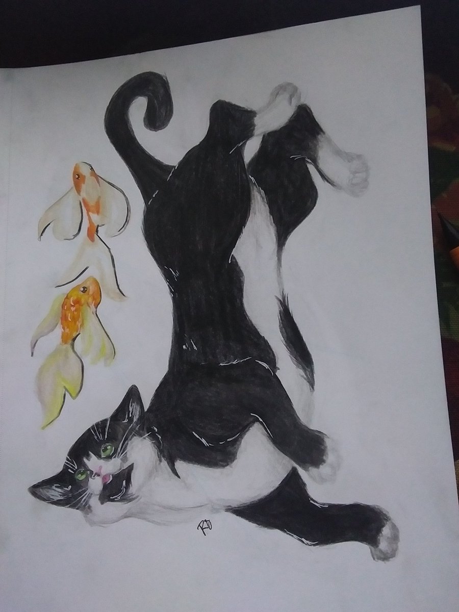 Nuke66505894's tweet photo. Cats + cat art of pet cat of aunt 
#cats https://t.co/0QrUfV5b08