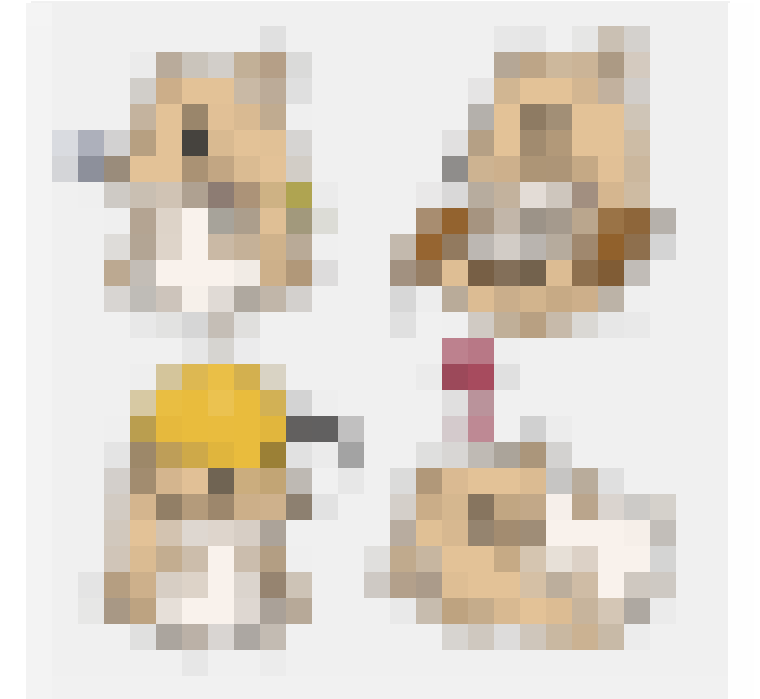 dodg_fun's tweet photo. We're almost done with the $DODG-NFT to be used in the game.
There will be an Exciting update soon.😙

#Solana #NFT #Game #DODG https://t.co/2Ony2VKn7Z