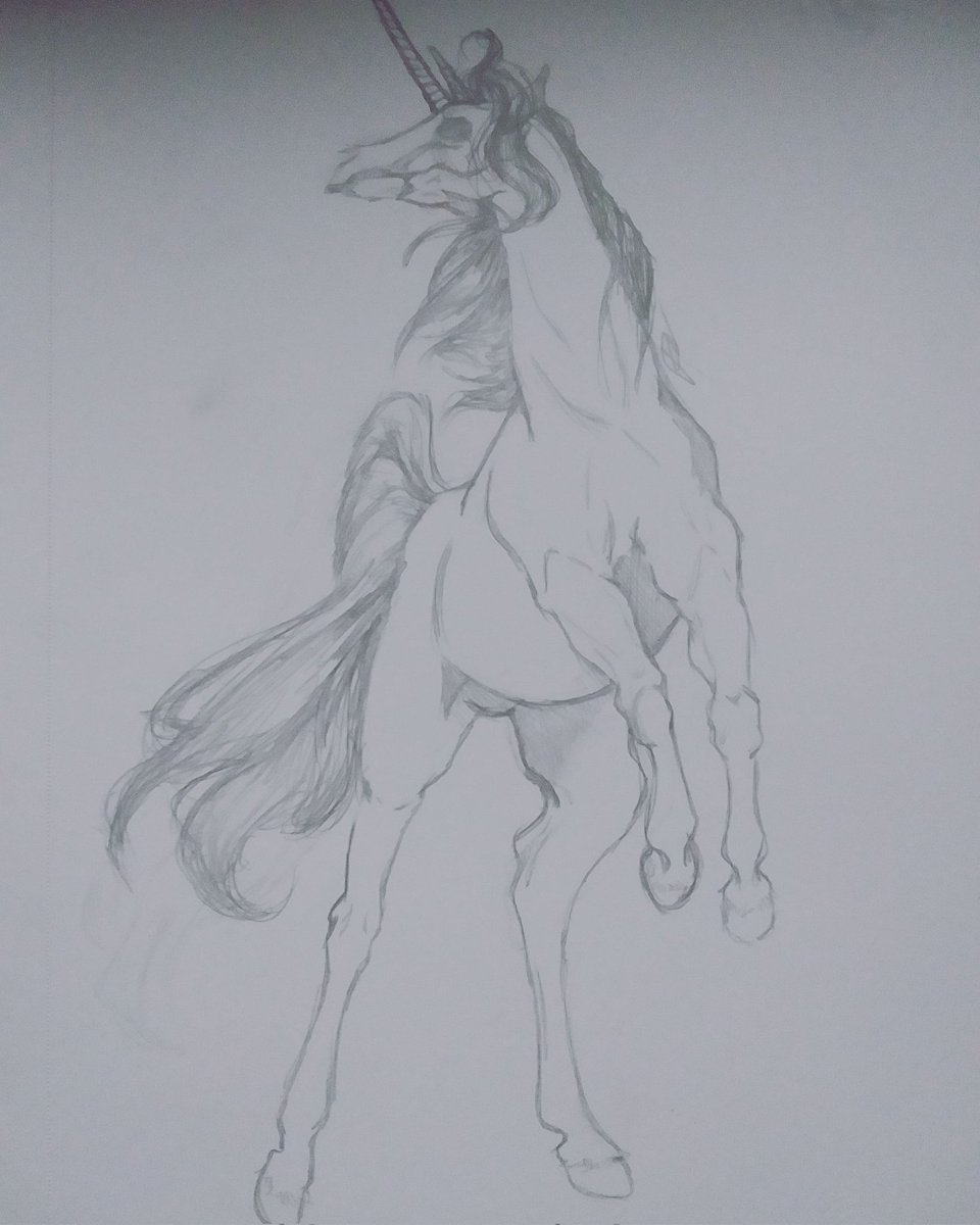 Nuke66505894's tweet photo. I had to redo this one bc i uh... Yeah
#art #colors:) #sketches 
First big robot transform man 2nd batman from some game 3nd :) unihorse with skull face 4nd :)) someones dogs https://t.co/KwYBRYMlRL