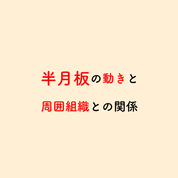 riha_note's tweet photo. 膝関節治療で重要な半月板に関する知識💡

半月板の外側1/3辺縁部には疼痛を感じる受容器が存在しています。疼痛や可動域制限を考察するには、周囲組織との関連も押さえておきましょう。 https://t.co/c5VpzezCT4