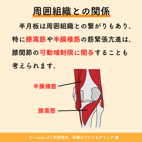 riha_note's tweet photo. 膝関節治療で重要な半月板に関する知識💡

半月板の外側1/3辺縁部には疼痛を感じる受容器が存在しています。疼痛や可動域制限を考察するには、周囲組織との関連も押さえておきましょう。 https://t.co/c5VpzezCT4