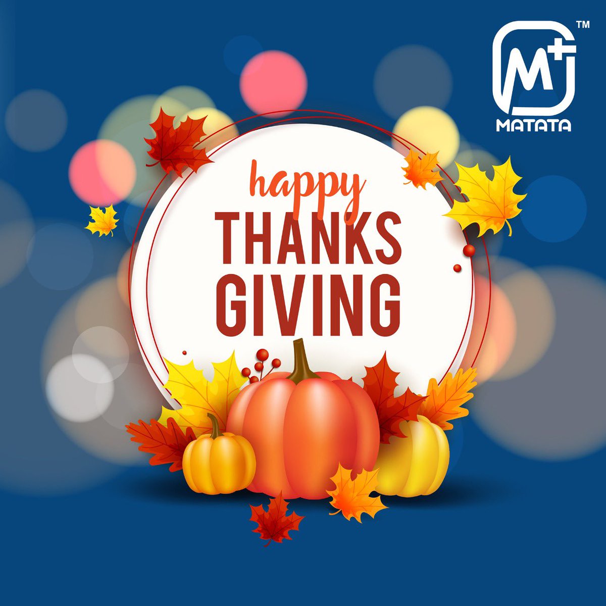 MatataIndia_Off's tweet photo. Wishing you peace and harmony this #ThanksGiving #HappyThanksgiving https://t.co/LB7cKp2ZXs