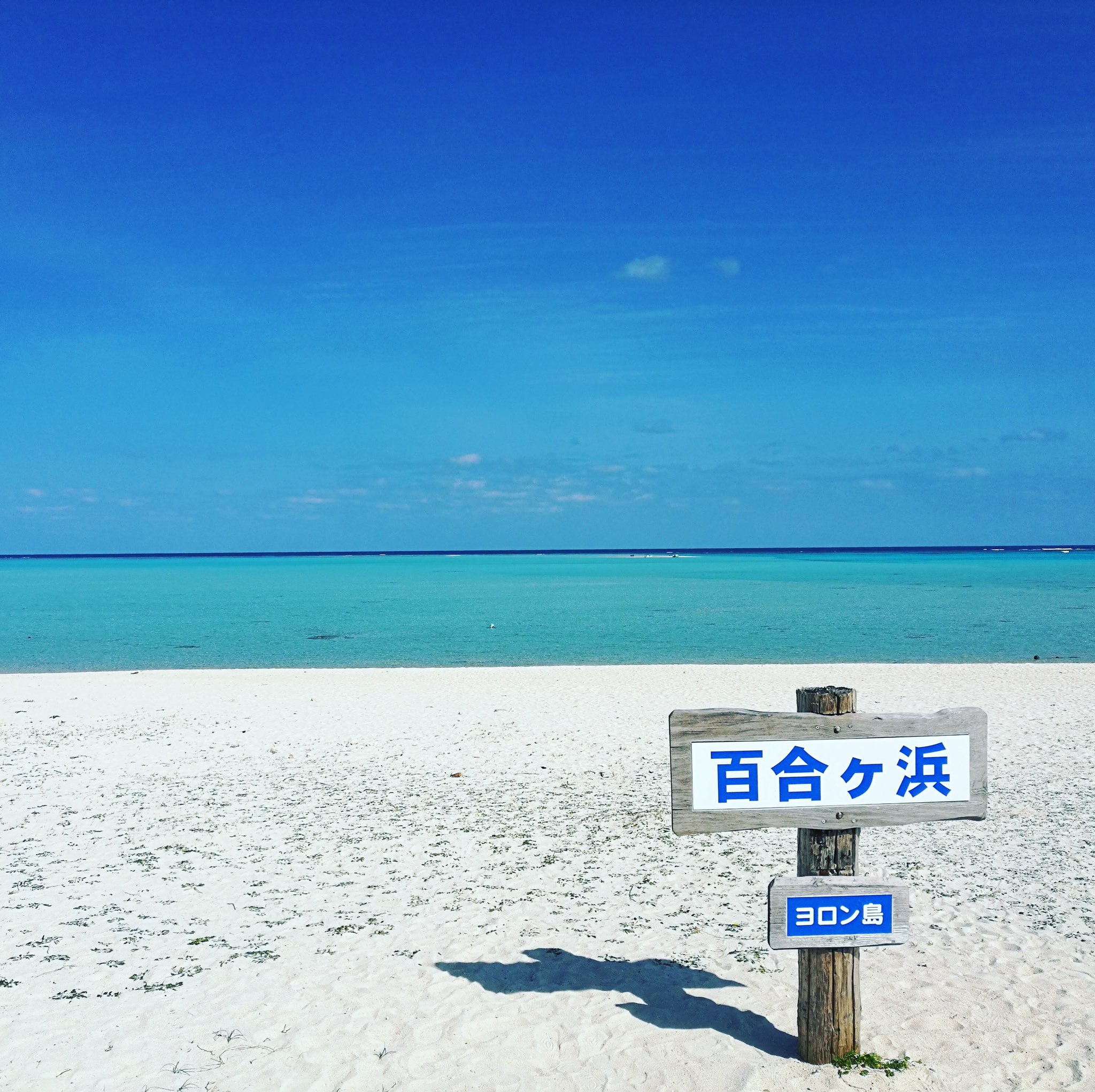 はなアンニャーとこめたろうの与論島ライフ Hanadeso3 Twitter