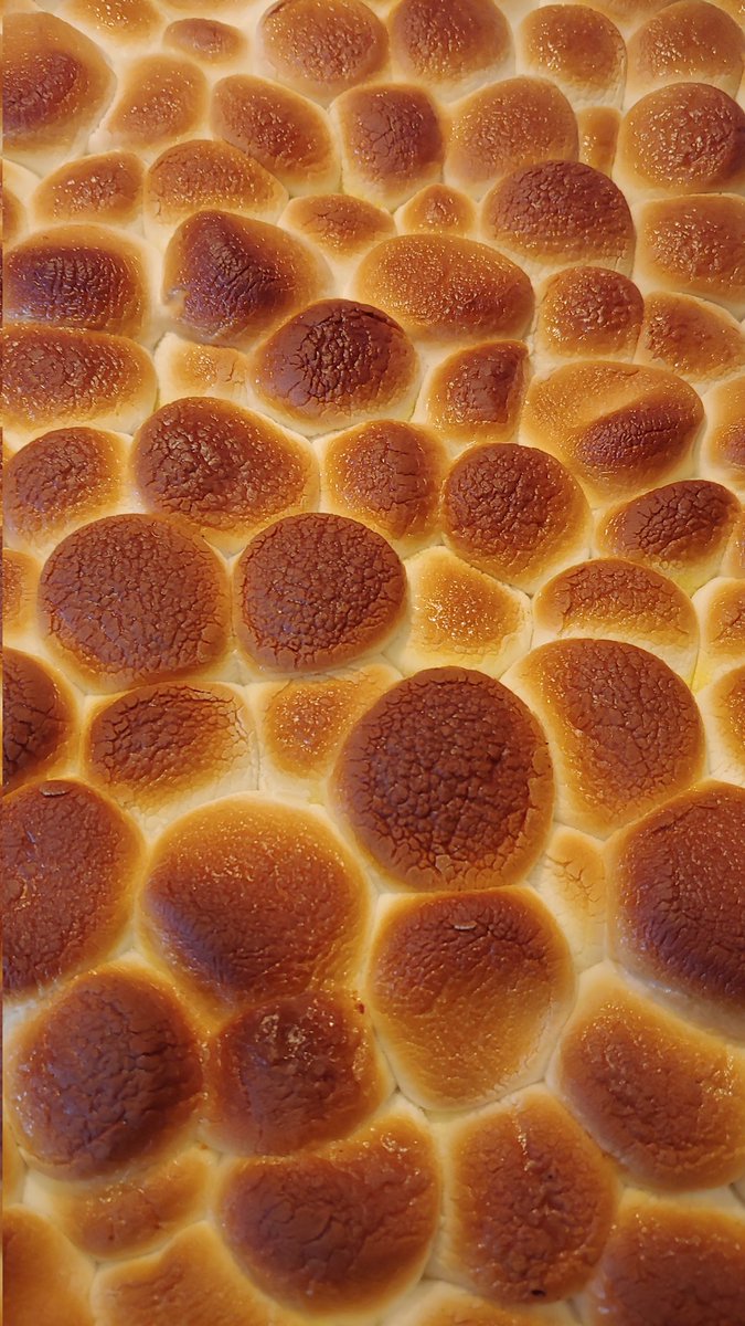 This is the year I achieved Thanksgiving perfection...