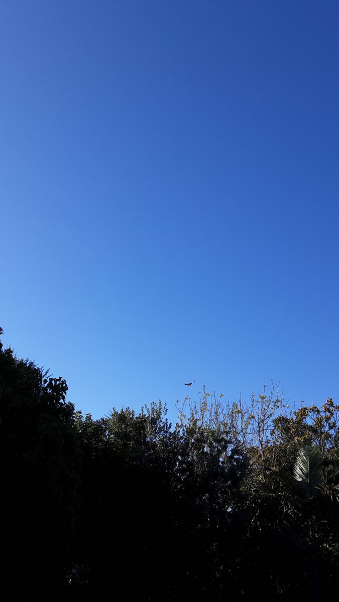 Lisa_Zate's tweet image. 🐷いこまいかい運動部🌸🌼
✅スクワット 20回
✅散歩1h
✅プランク 100秒
✅腹筋30回往復
今日はほぼ1日掛けて自分の大きな人生ビジョンが見えた日でした。運動はそのなかに勿論あって必要不可欠です。
継続します。
#ダイエット倶楽部 #老化防止 #exerciselover #水2L #今空