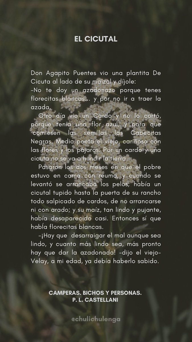 EL CICUTAL. Un cuentito del Padre Castellani.