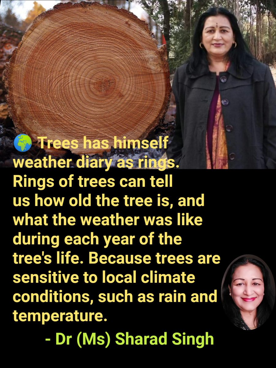 MissSharadSingh's tweet photo. Trees has himself weather diary as rings- Dr (Ms) Sharad Singh
#ClimateCahnge
#OurClimateOurLife
#OurClimate #MyClimateDiary
#KnowYourClimate
#KnowYourEnvironment
#unclimatechange
#nature #Environment #ClimateCrisis #diary
#ThinkAboutIt #talkaboutit
#Trees #tree #Rings #weather https://t.co/Po1yBtef8t