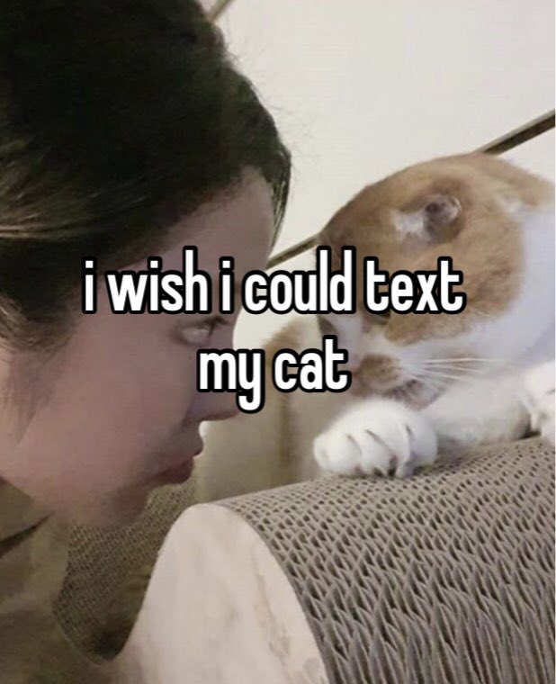 mmmwhispers's tweet photo. https://t.co/wmTqxzTFRY