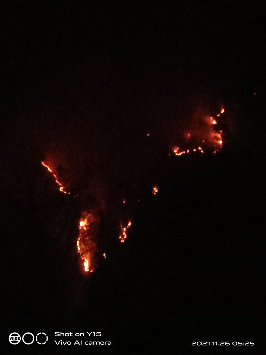 ThakurPs4's tweet photo. Highly appreciated work done by the native villagers #the massive fire ๐ฅ controlled in limited area
Once again thanks to all #warroirs who did this in whole night to protect the forest!
#Save forest save ur next generation
@Amy1Rajput
@SanjayChibAbvp
@dcramban https://t.co/c7JUiLQW4z